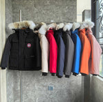 Premium Collection