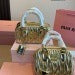 Miu Miu Wander